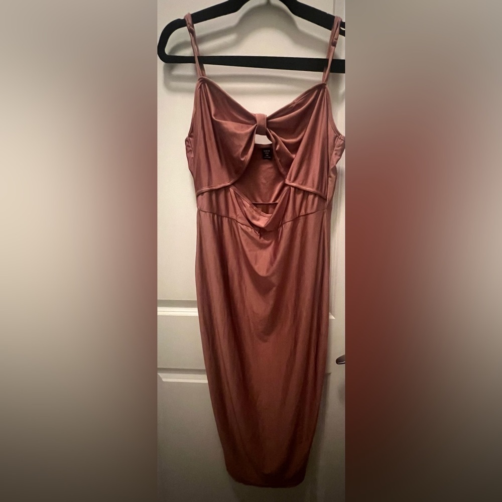 Champagne Rose Maxi Dress Women’s 1XL